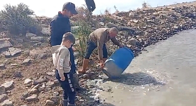 Kanallarda Mahsur Kalan Balıklar Kurtarıldı