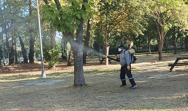 Keşan'da haşereyle mücadele çalışmaları sürüyor