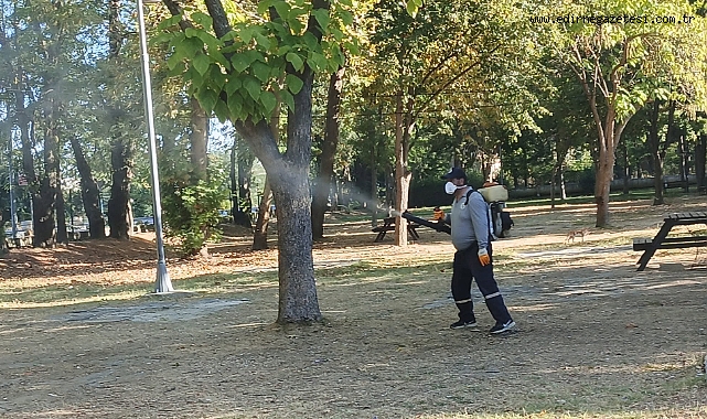 Keşan'da haşereyle mücadele çalışmaları sürüyor
