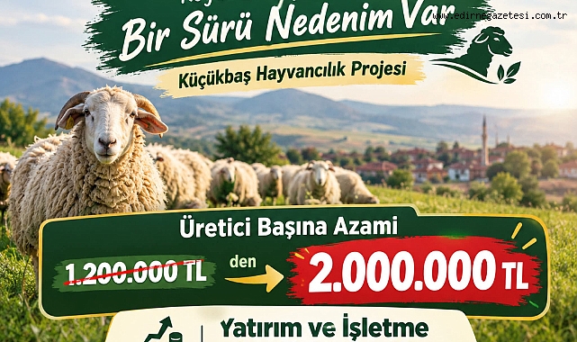 Kredi Limiti 2 Milyon TL’ye Yükseltildi