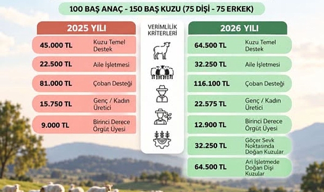 KÜÇÜKBAŞ HAYVANCILIĞA KUZU DESTEĞİ