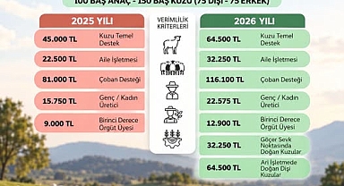 KÜÇÜKBAŞ HAYVANCILIĞA KUZU DESTEĞİ