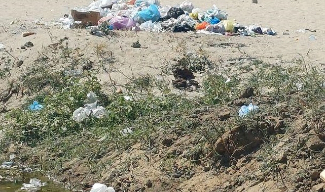 Mecidiye Sahili’nde Çöp Tepkisi