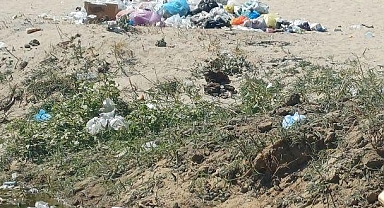 Mecidiye Sahili’nde Çöp Tepkisi
