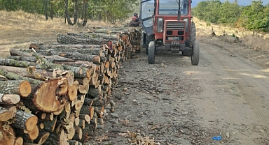 Sarıdanışment’te Kışlık Yakacak Dayanışması