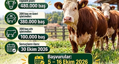 2027 Yılı Besilik Sığır İthalatı Planlaması Açıklandı: Başvurular 5 Ekim’de Başlıyor