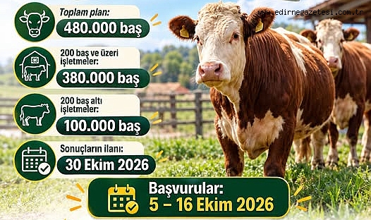 2027 Yılı Besilik Sığır İthalatı Planlaması Açıklandı: Başvurular 5 Ekim’de Başlıyor
