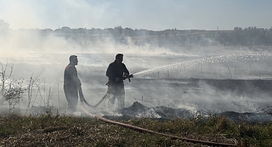 Edirne'de anız yangını söndürüldü