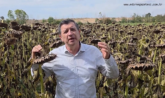 Gaytancıoğlu: Öncelik Üretmek Olmalı