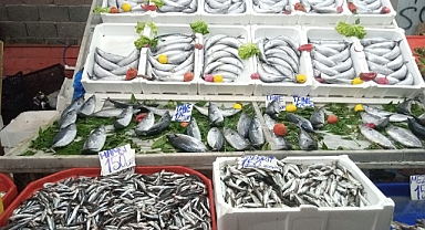 HAMSİ CEP YAKTI, PALAMUT ŞAŞIRTTI
