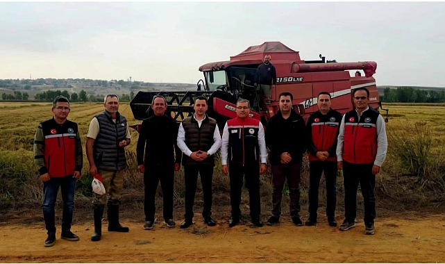 Havsa'da çeltik hasadı başladı