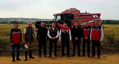 Havsa'da çeltik hasadı başladı