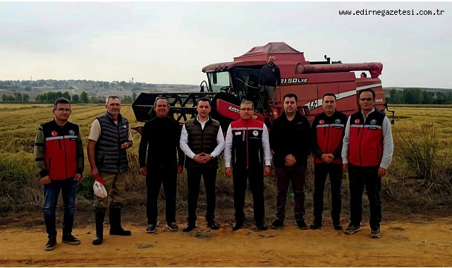 Havsa'da çeltik hasadı başladı