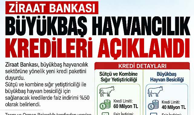 HAYVANCILIKTA 60 MİLYON LİRAYA KADAR KREDİ DESTEĞİ