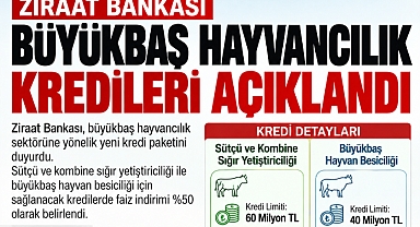 HAYVANCILIKTA 60 MİLYON LİRAYA KADAR KREDİ DESTEĞİ