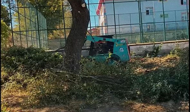 Kuvayi Milliye Caddesi Ağaçlarla Güzelleşiyor