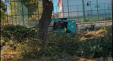 Kuvayi Milliye Caddesi Ağaçlarla Güzelleşiyor