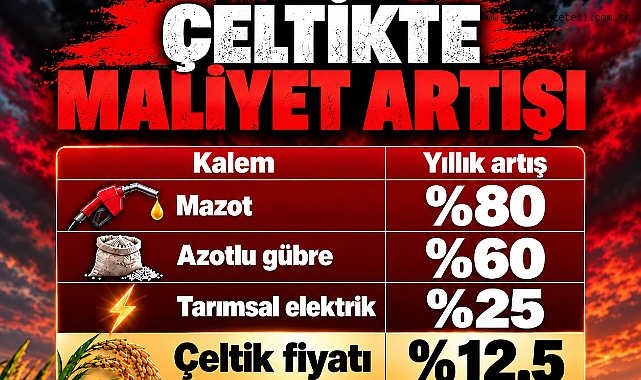 Mazot yüzde 86 arttı, çeltik zammı yüzde 12,5’te kaldı