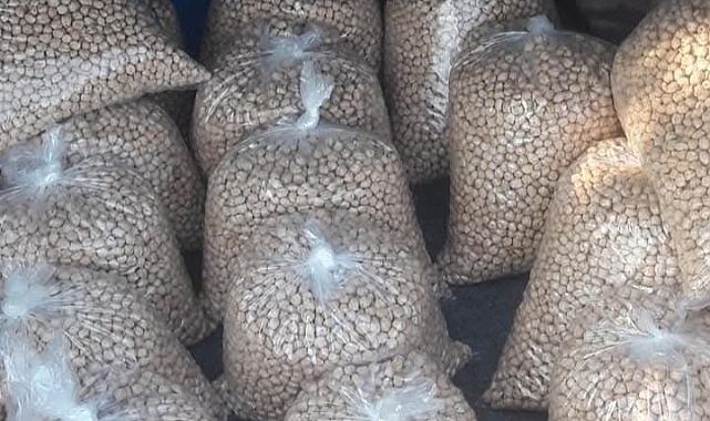Nohut ve Fasulyeden Sonra Sıra Mercimekte