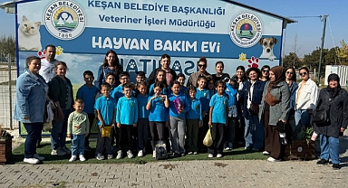 Öğrenciler Sahipsiz Hayvanları Ziyaret Etti