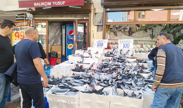 PALAMUT BEREKETİ YAŞANIYOR