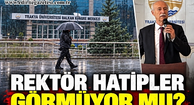 REKTÖR HATİPLER GÖRMÜYOR MU?