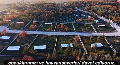 SÜLOĞLU’NDA SAHİPSİZ HAYVANLAR İÇİN YENİ YAŞAM ALANI