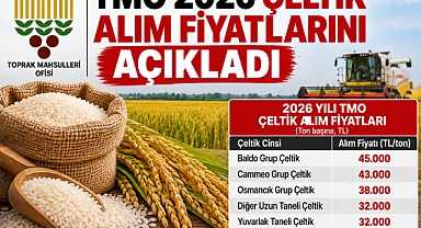 TMO 2026 ÇELTİK ALIM FİYATLARINI AÇIKLADI