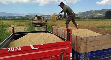Uzunköprü Ticaret Borsası’nda Çeltik Alımları Başladı