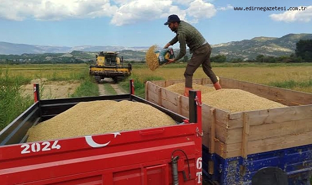 Uzunköprü Ticaret Borsası’nda Çeltik Alımları Başladı