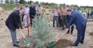 15 Temmuz hatıra ormanı