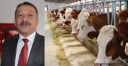 Hayvan pazarı açıldı