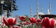 Mimar adayları Edirne’yi görmeli