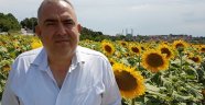 Ayçiçeğinde işi yırttık
