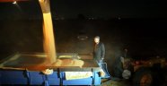 Geceli-gündüzlü hasat mesaisi