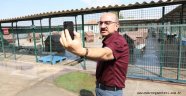 Barınakta canlı yayın