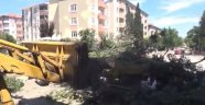 ‘Ağaçların korunmasını istiyoruz!’