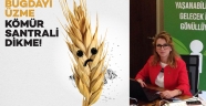 “Buğdayı üzme” kömür santrali dikme!