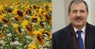 Dengeleri Ukrayna bozuyor