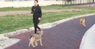Hadi gel spor yap bakalım