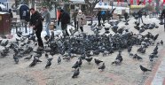 Her gün 10 kilo
