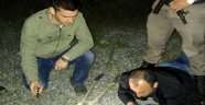 Hırsıza pusu