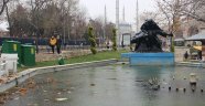 Kar yok buz var