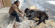 Katırı donmaktan kurtardılar