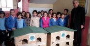 Kedi ve köpek kulübeleri yerlerine bırakıldı