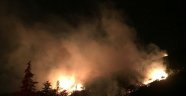 Keşan'da orman yangını
