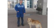 Sahibi adliyede, köpek nöbette