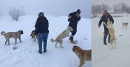 Sokak hayvanları unutulmadı