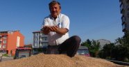 Sonuç hüsran