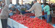Tarhanalık biber satışları arttı